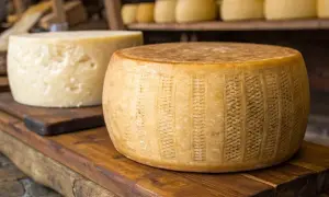 Czy Grana Padano zastąpi parmezan? Poznaj różnice i wybierz mądrze