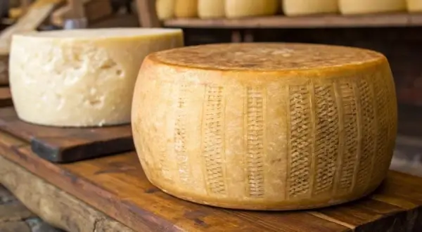 Czy Grana Padano zastąpi parmezan? Poznaj różnice i wybierz mądrze